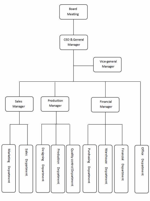 Company Structure